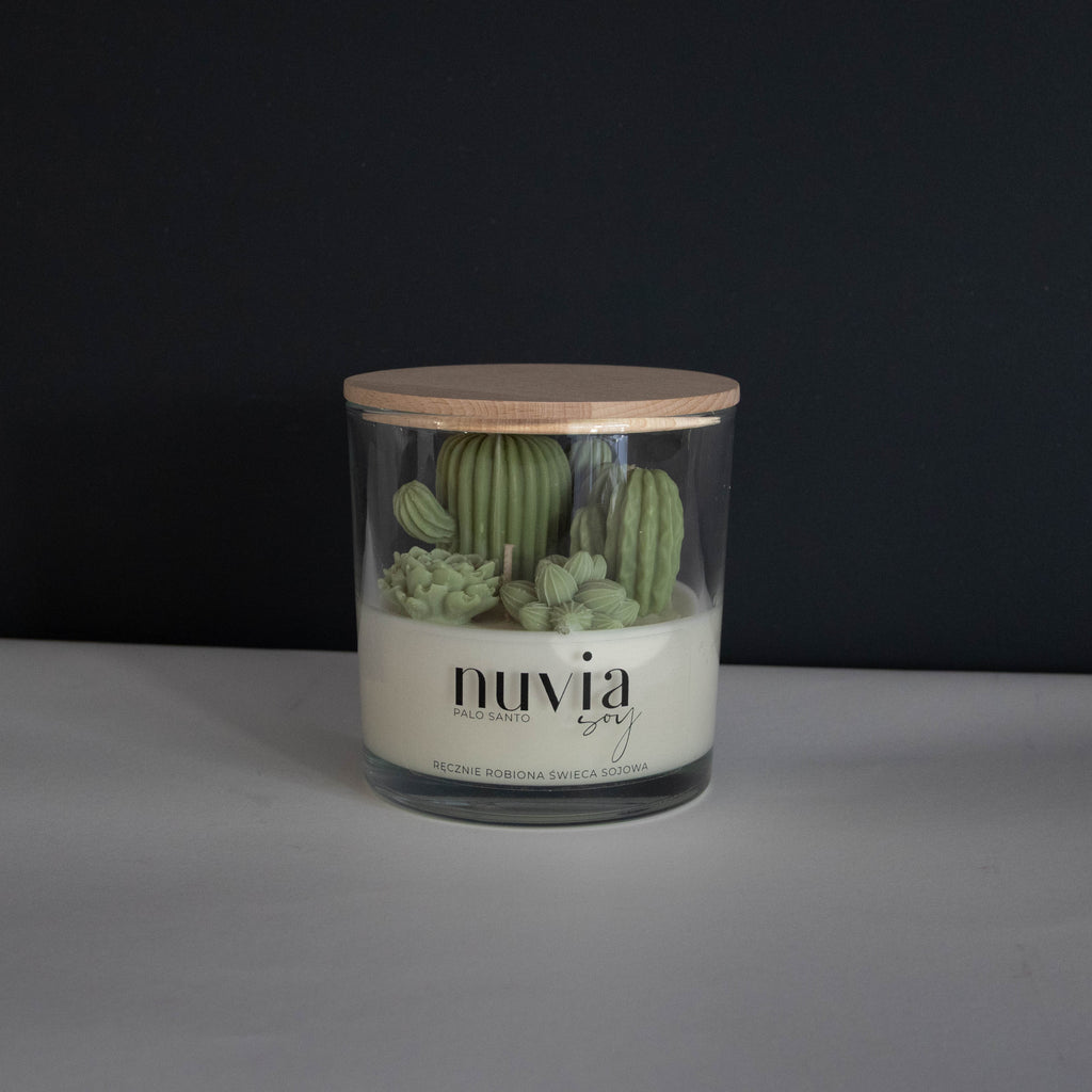 Scented candle with succulents