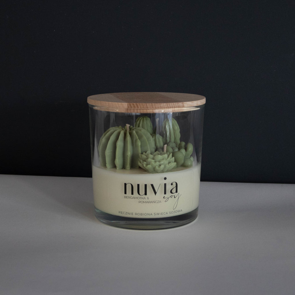 Scented candle with succulents