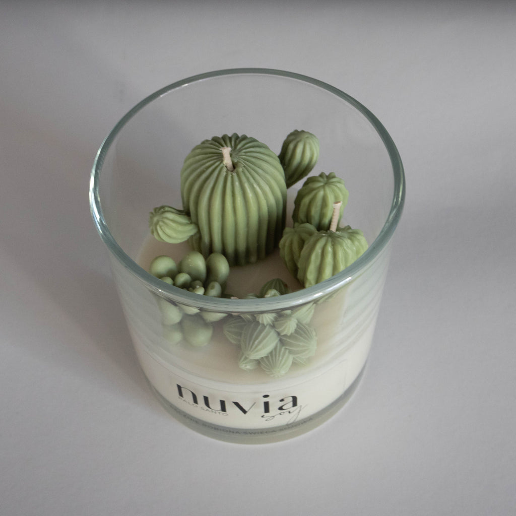 Scented candle with succulents
