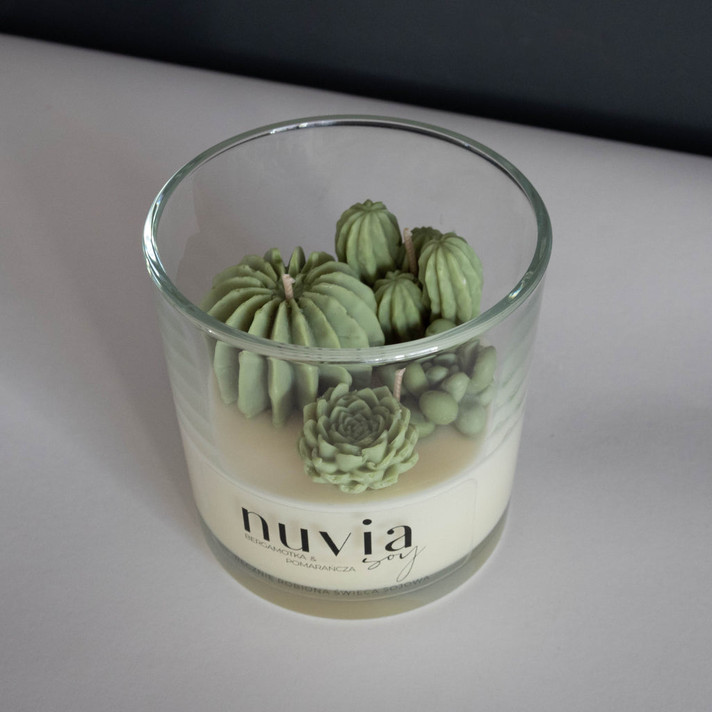 Scented candle with succulents
